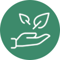 ícone de uma mão oferencendo uma planta, simbolizando sustentabilidade